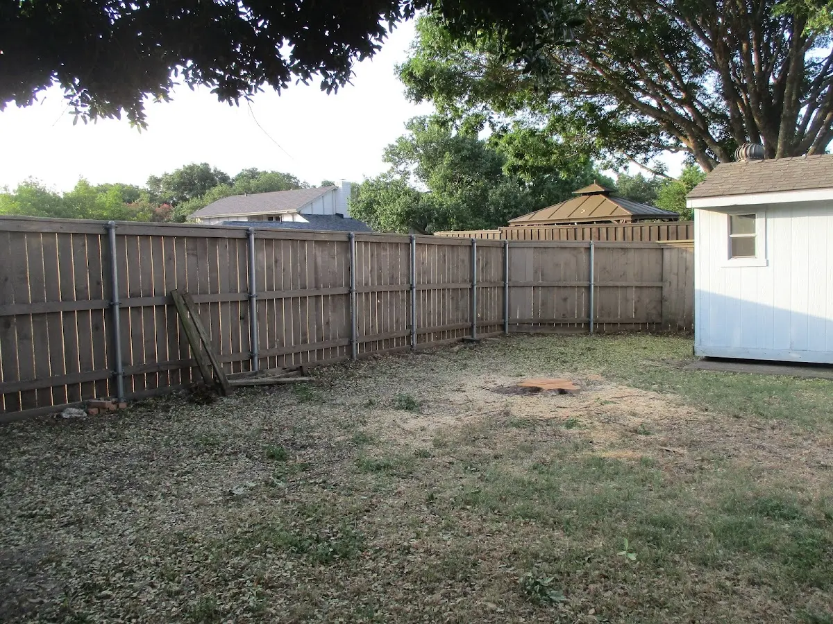 Cleared yard after professional tree removal in Greenwood