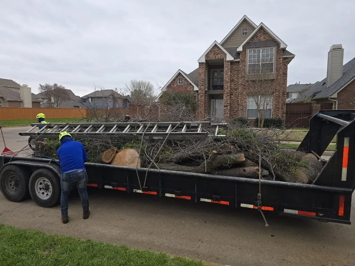 Expert Tree Fertilization with proper safety equipment in Greenwood